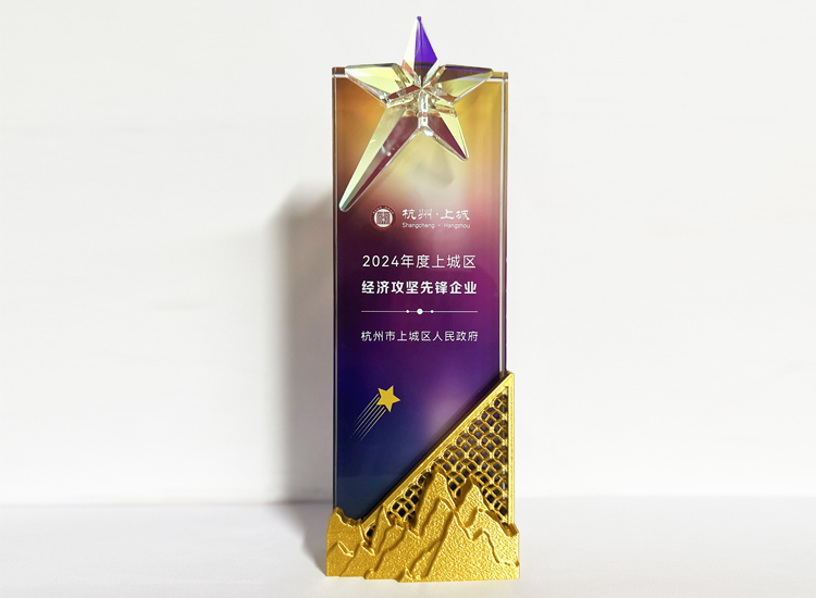 高泰昊能榮獲2024年度上城區經濟攻堅先鋒企業